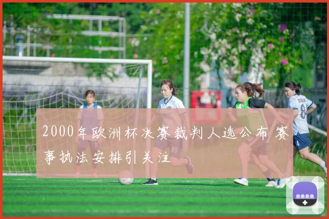 2000年欧洲杯决赛裁判人选公布 赛事执法安排引关注